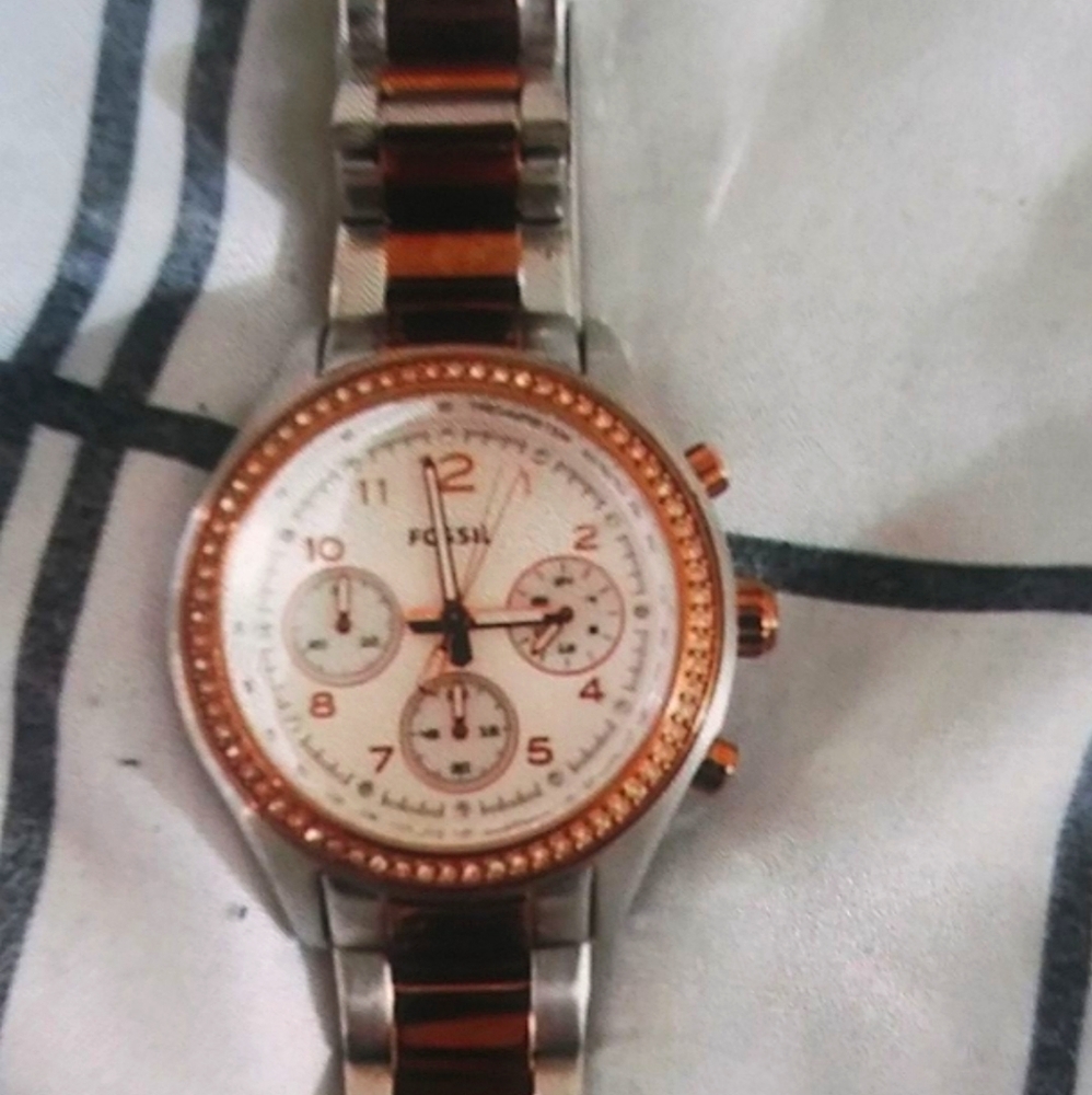 Fossils watch